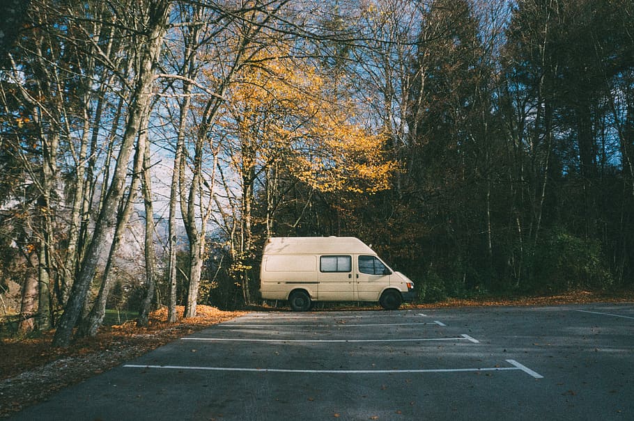 white minivan parked near trees at daytime, white van on road near trees HD wallpaper