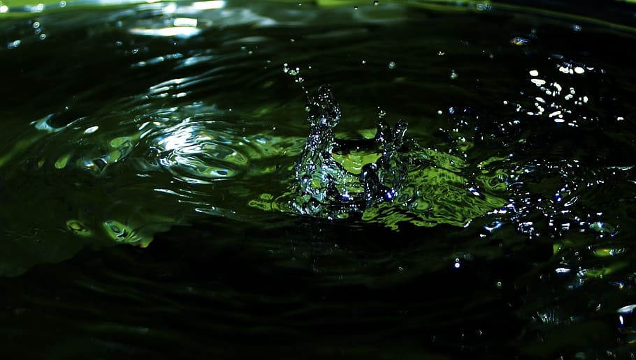 Drops, Water, Shine, Splash, Puddle, liquid, nature, wet, splashing HD wallpaper