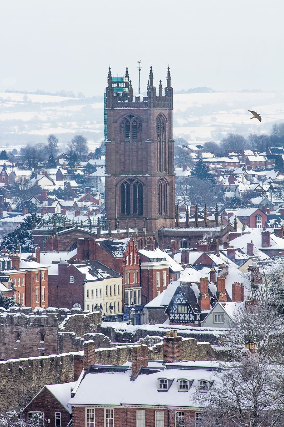 brown tower near houses at daytime, brown cathedral, chruch, building HD wallpaper