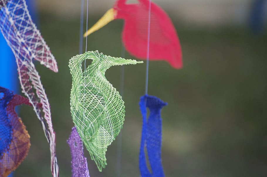 bird, thread, textile, focus on foreground, close-up, growth HD wallpaper