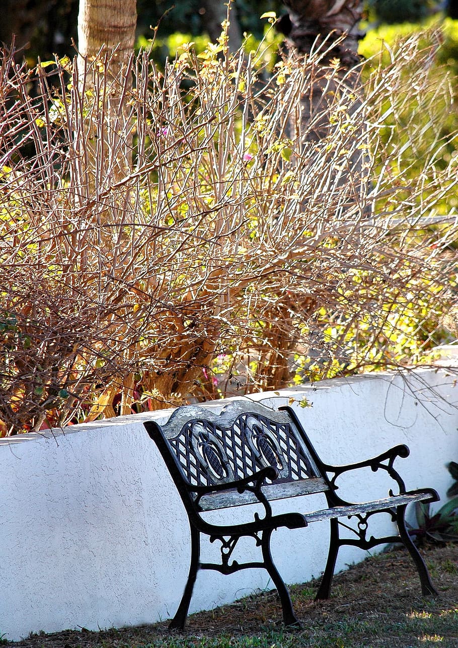 Bench, Garden, Autumn, Fall, Seat, outdoor, furniture, peaceful HD wallpaper