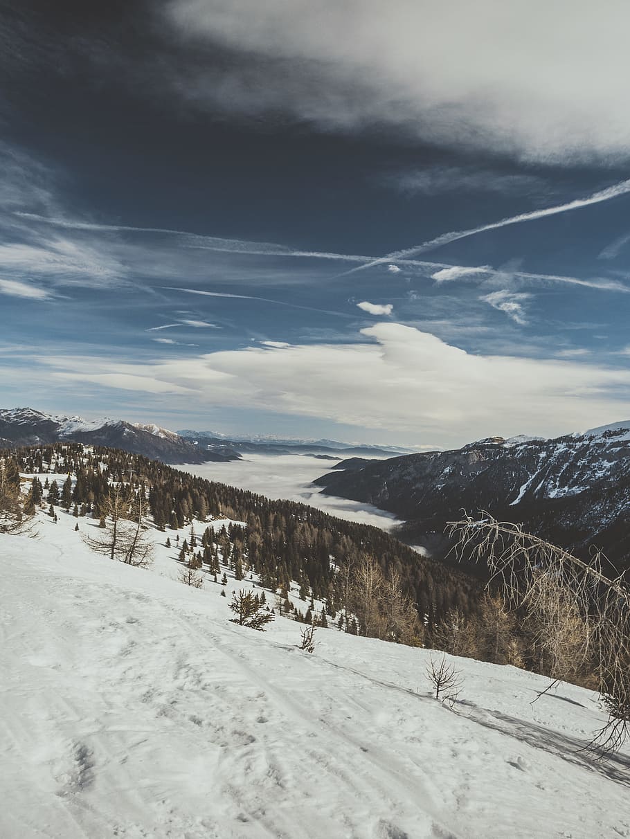 photo of mountain covered with snow, gray mountain covered with snow and brown trees HD wallpaper