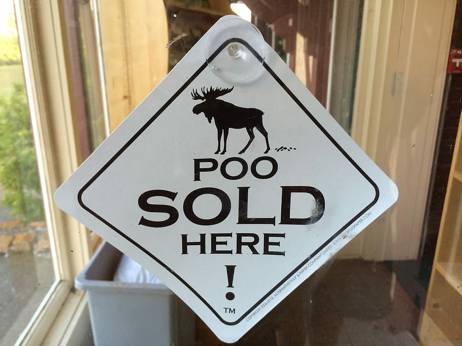hanged white and black Poo sold here signage, Animal, Moose, funny