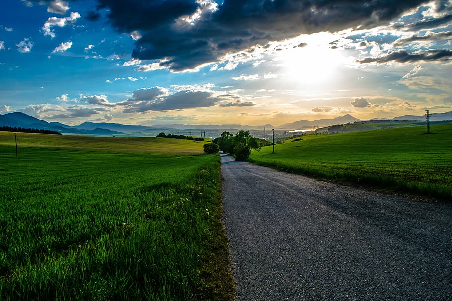 green grass field, sun, path, meadow, tree, heaven, sky, clouds HD wallpaper