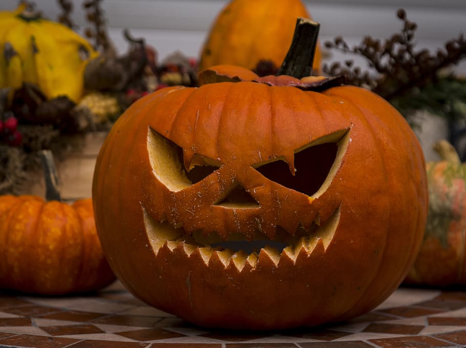 pumpkin, deco, halloween, jack o' lantern, food and drink, anthropomorphic HD wallpaper