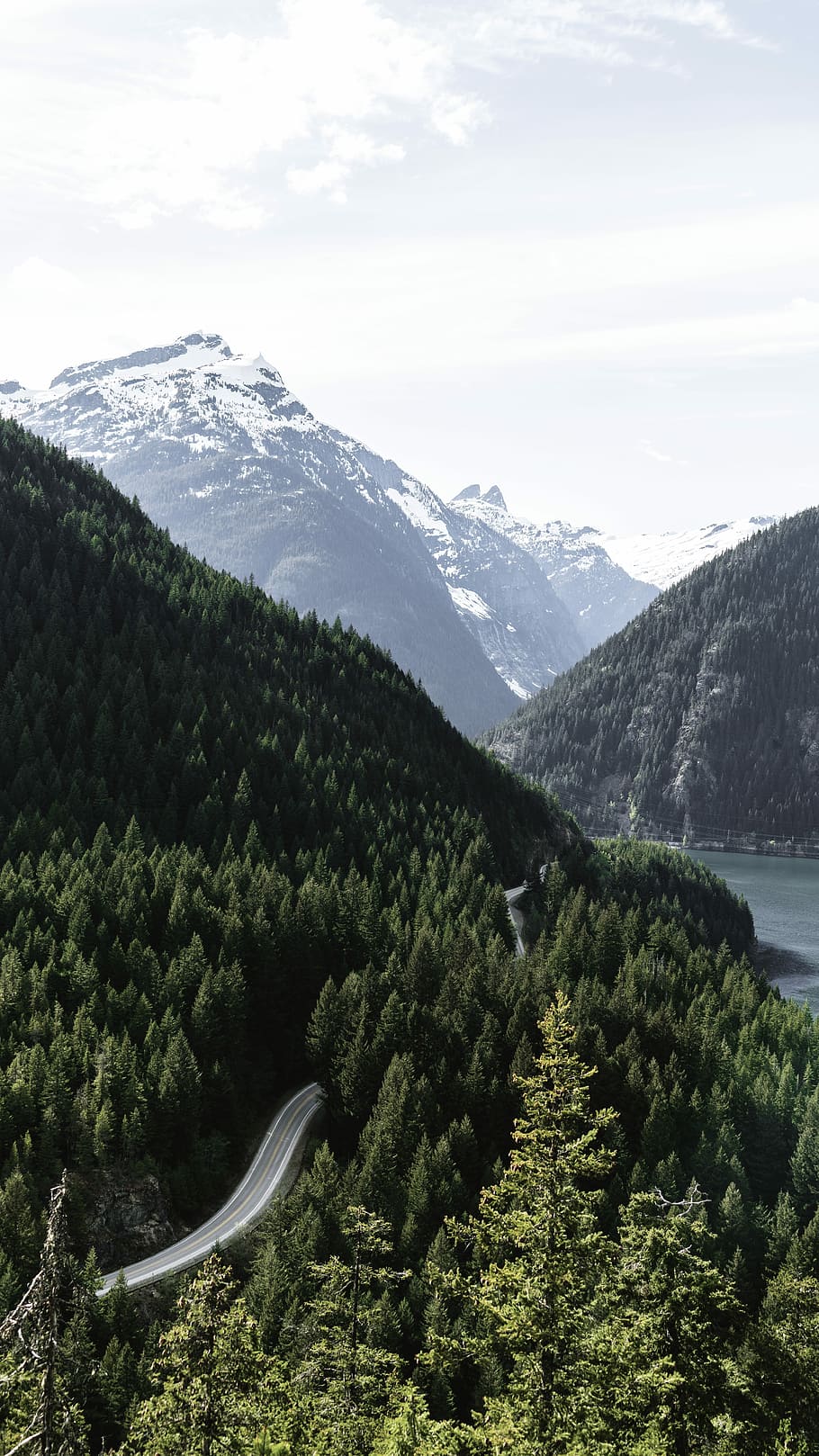 asphalt road between trees near mountain, landscape photography of mountains full of trees HD wallpaper