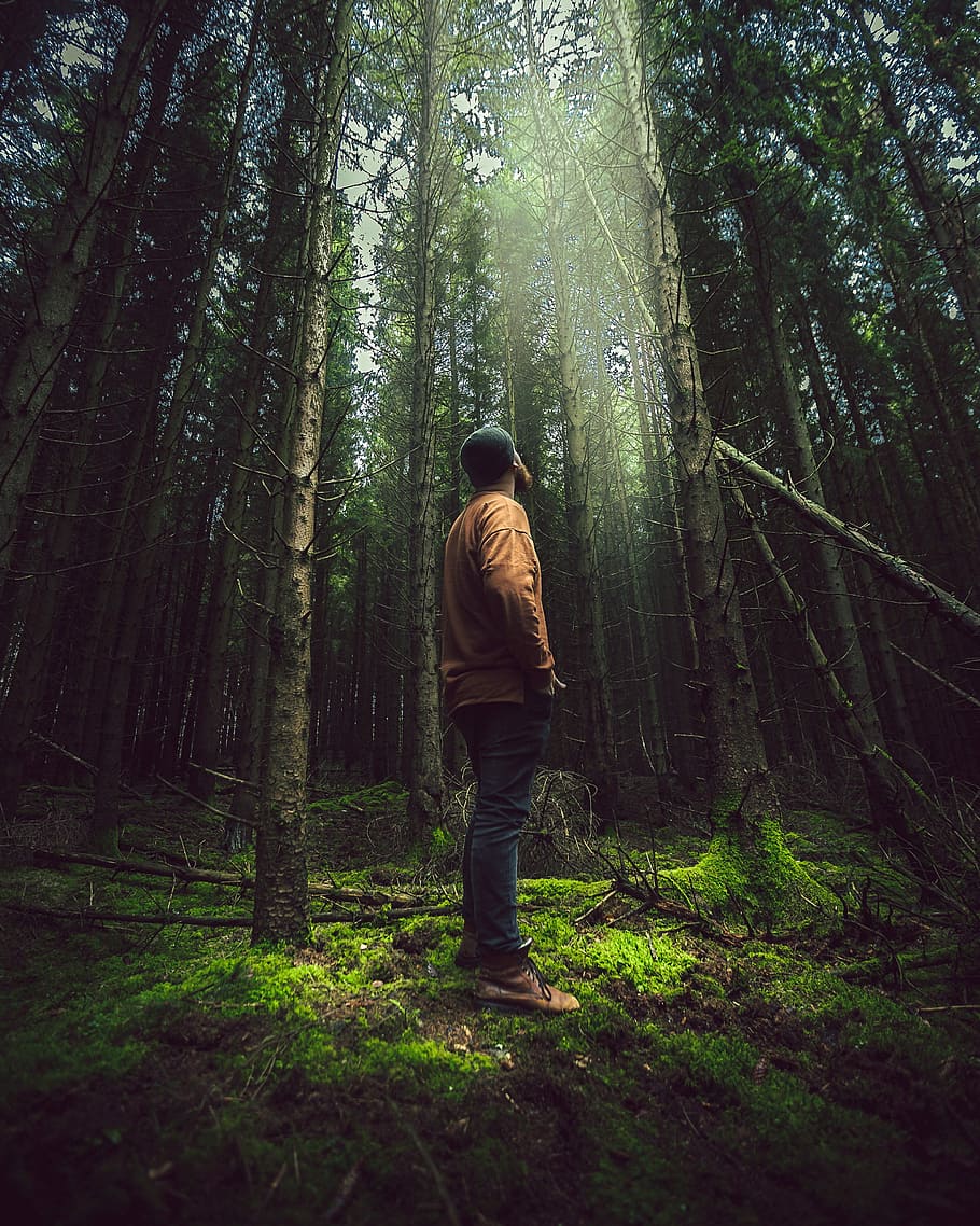 man standing near trees, man standing near trees during daytime HD wallpaper
