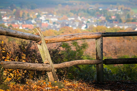 brown wooden fence, pile, autumn, post, fence post, village HD wallpaper