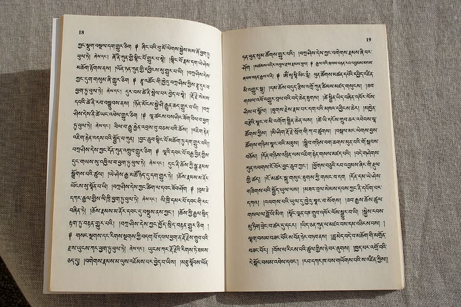brown open book, tibetan, reading, language, characters, calligrathy HD wallpaper