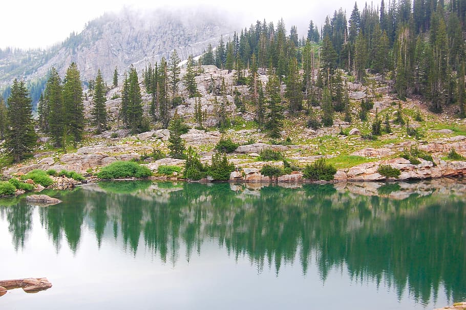 landscape photography of lake near trees, green-leafed trees and still water HD wallpaper