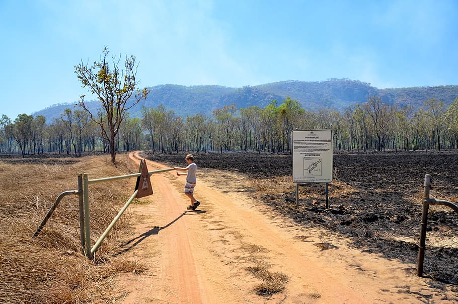 gate, burn off, fire, outback, open, sky, plant, day, tree HD wallpaper