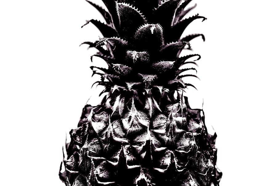 negative photo of pineapple fruit, isolated, bw, fresh, white HD wallpaper