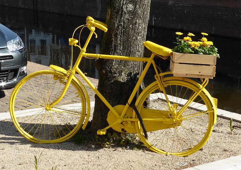 transport, bicycle, spring, yellow, flowers, chained, stabling HD wallpaper