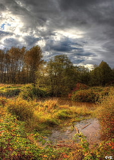 marshlands, sky, clouds, outdoors, scenic, tranquil, stratosphere HD wallpaper