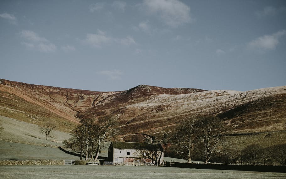 Countryside Barn, trees on mountain's foot, hillside, outdoors HD wallpaper