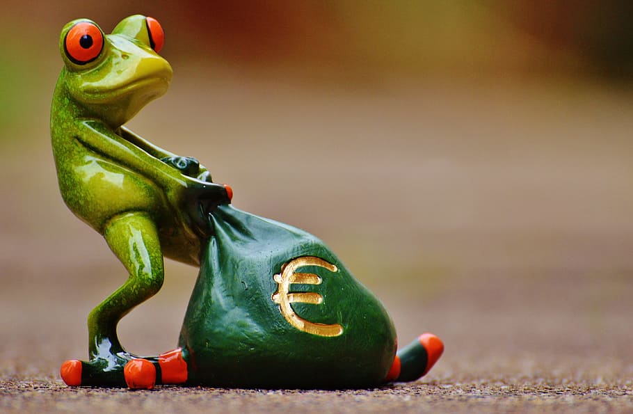 frog pulling cash bag figurine, money, euro, money bag, funny