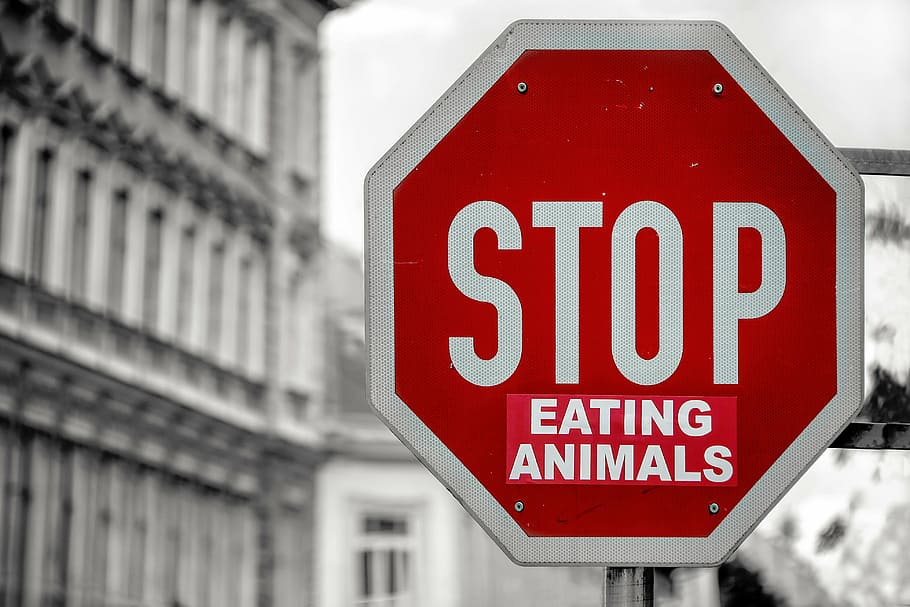 Stop eating animals road signage, architecture, building, infrastructure