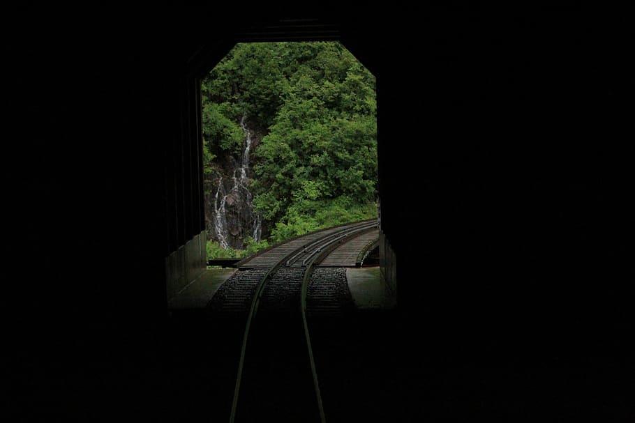 Dark Tunnel, train tracks tunnel, bridge, tree, rail transportation HD wallpaper