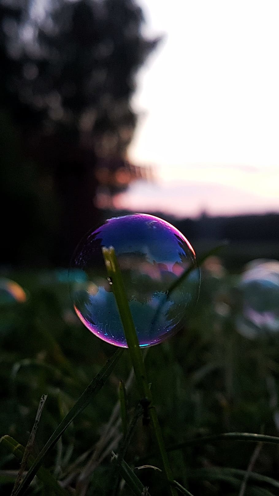bubbles, soap bubbles, landscape, magic, evening, night, vulnerability HD wallpaper