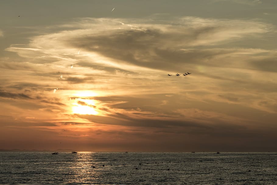 large body of water during golden hour, sunset, plane, air HD wallpaper