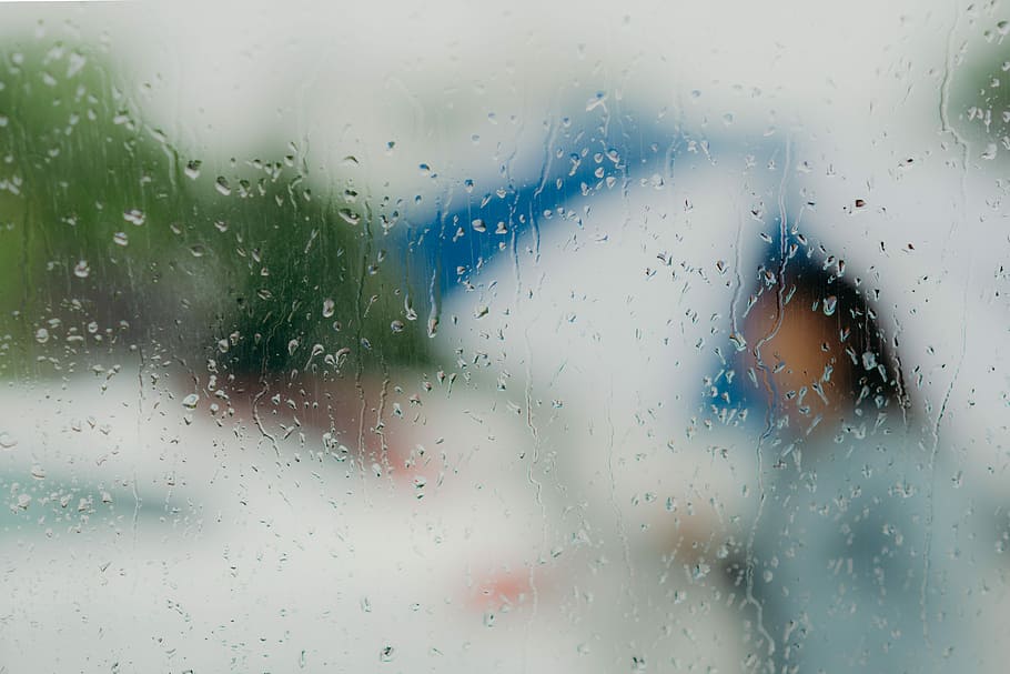 untitled, drop, window, glass - material, wet, transparent HD wallpaper