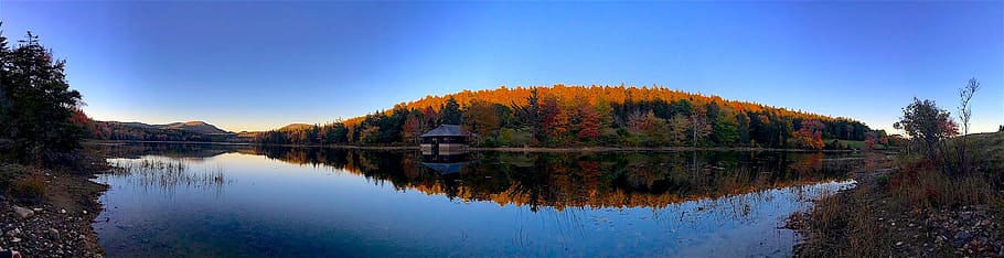 sunset, lake, trees, foliage water, reflection, light, landscape HD wallpaper