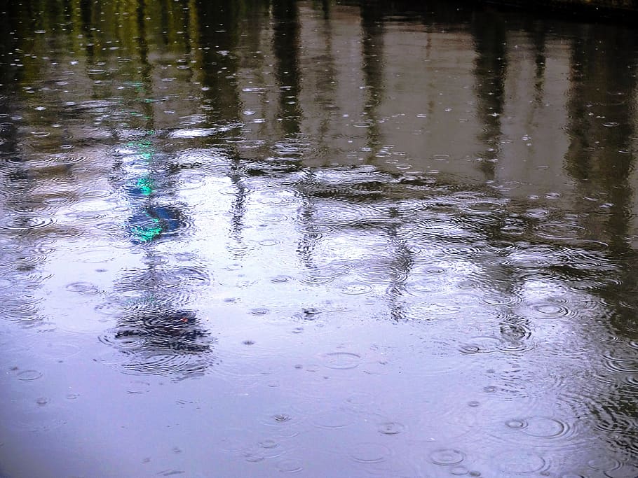 reflection, waters, nature, puddle, rain, wet, no people, day HD wallpaper
