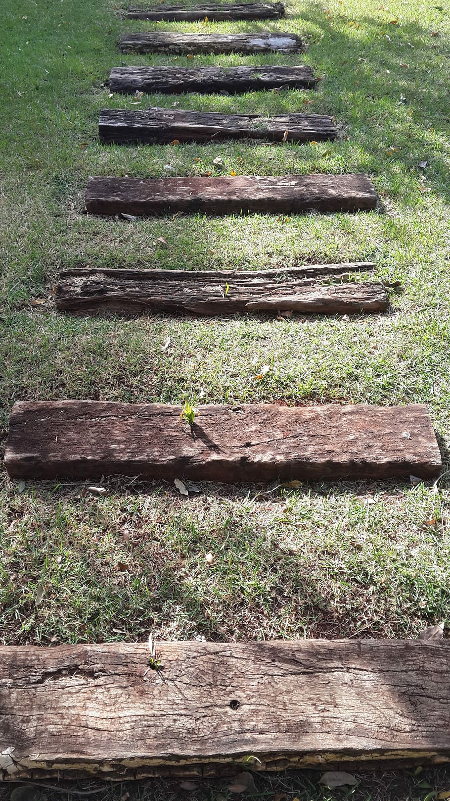 Ground, Garden, Lawn, Path, Logs, Grass, road, wood - material HD wallpaper