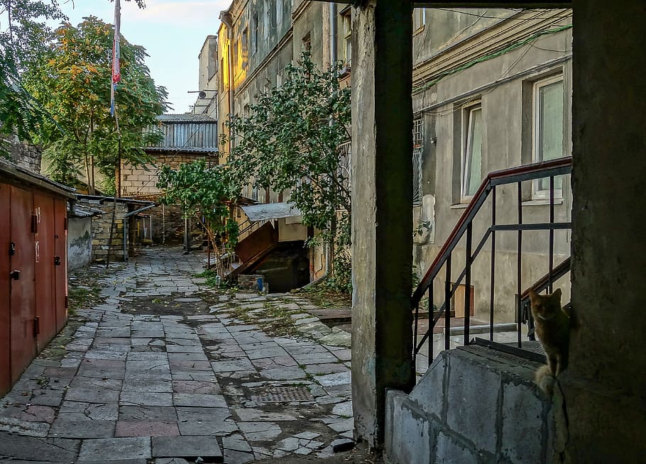 Odessa, Yard, Cat, Railing, Post, Garage, odessa yard, architecture HD wallpaper