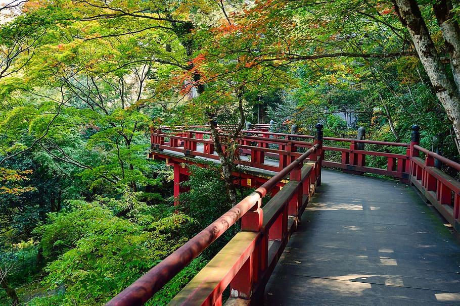 red and gray walkway photo during daytime, japan, landscape, natural