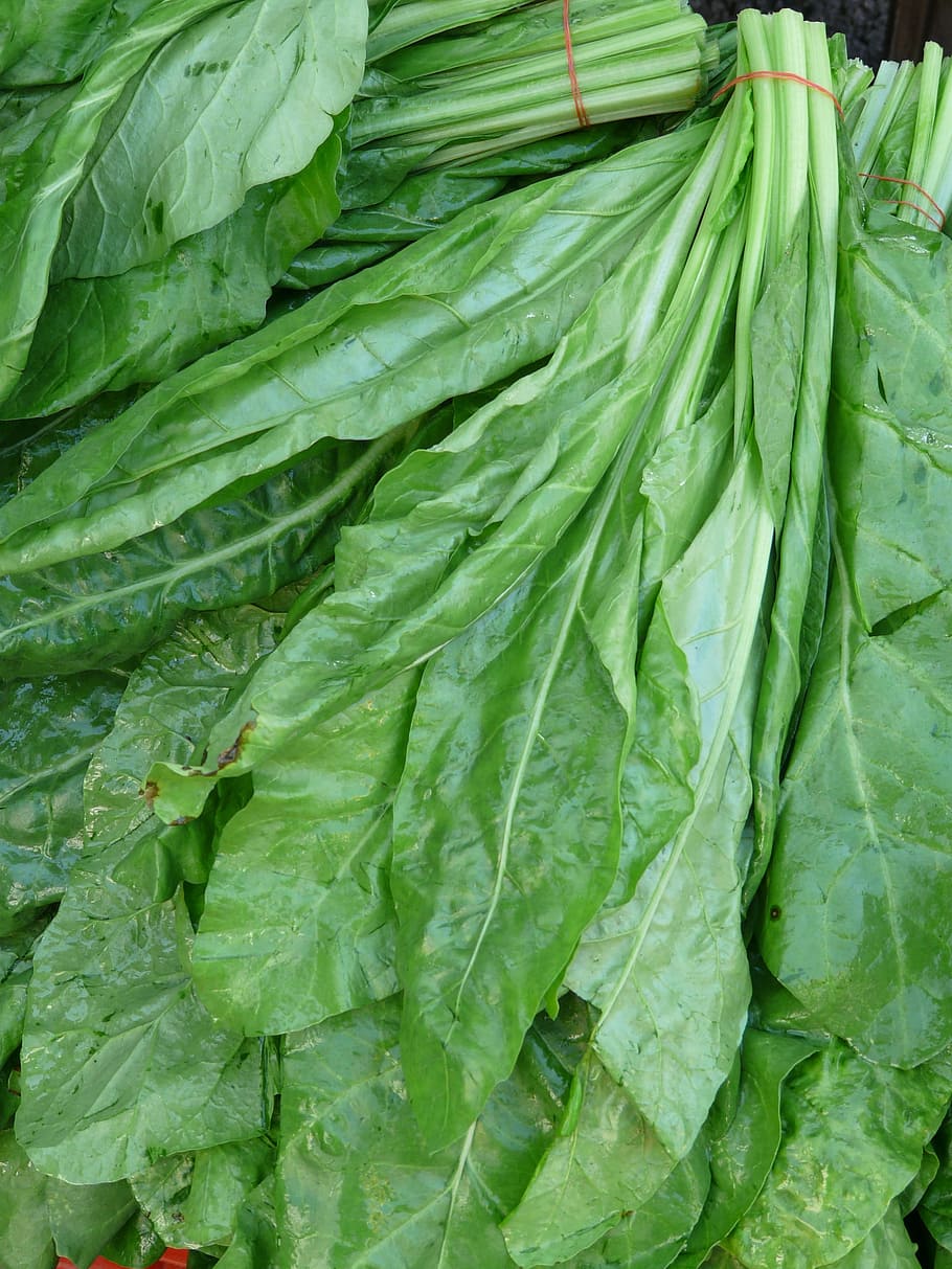 pile of green vegetables, Real, Spinach, real spinach, market HD wallpaper