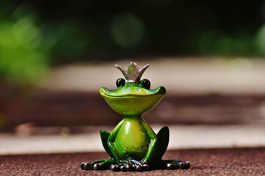 frog, frog prince, crown, figure, cute, funny, sweet, deco HD wallpaper