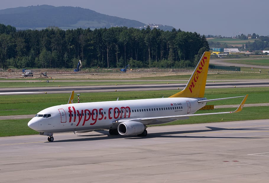 aircraft, boeing 737-800, pegasus, airport, zurich, zrh, airport zurich