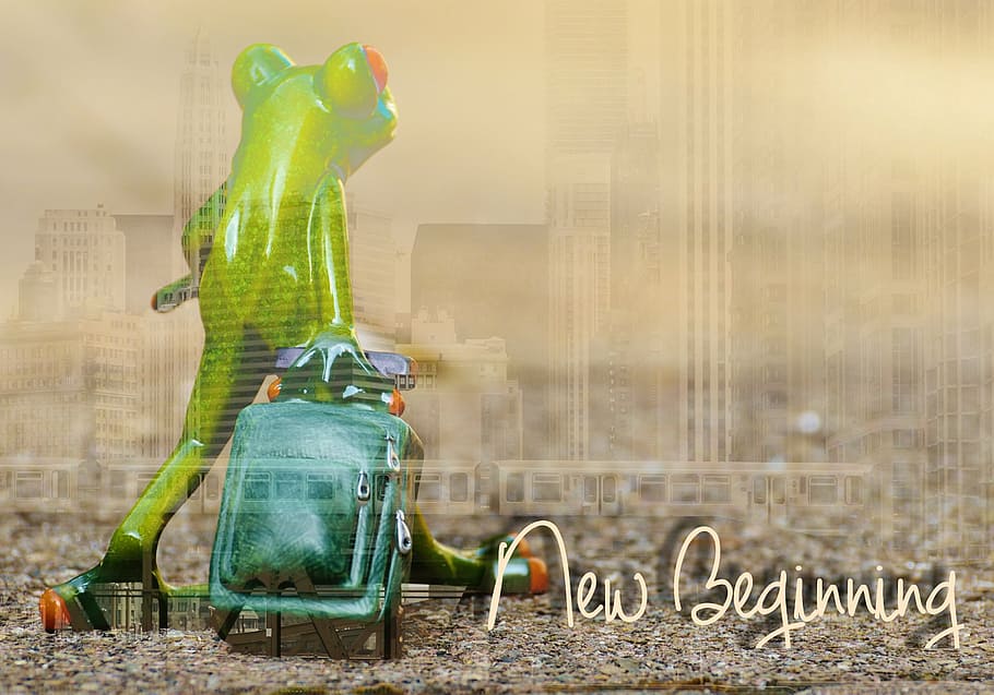 frog pulling luggage figurine with new beginning text overlay HD wallpaper