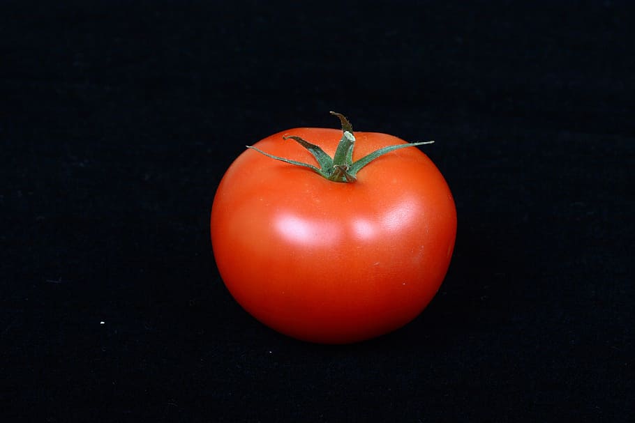 tomato, vegetable, red, food and drink, healthy eating, wellbeing HD wallpaper