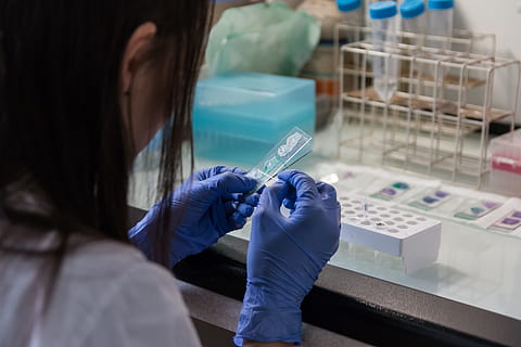 woman holding clear plastic panel, laboratory, analysis, diagnostics HD wallpaper