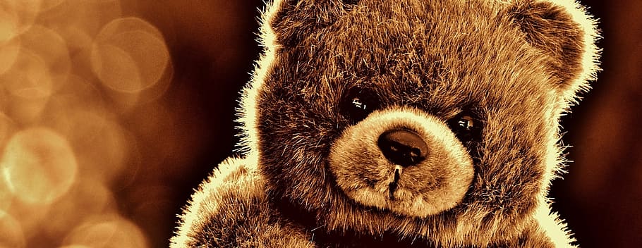 Cute Bear Wallpaper for Android  Download  Cafe Bazaar