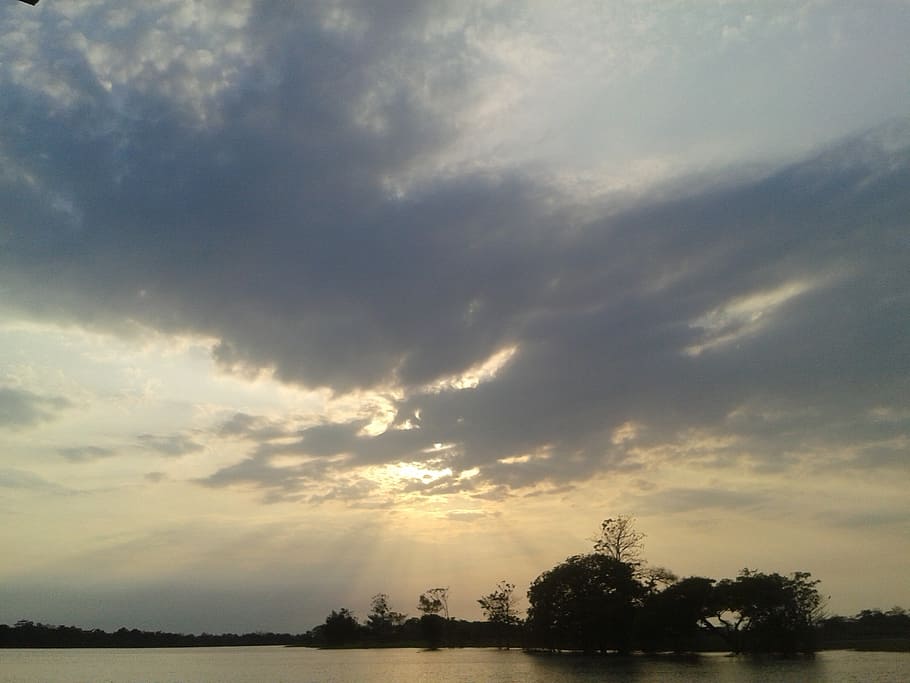 amazonas, dawn, rio, nature, sunset, sky, water, tree, landscape HD wallpaper