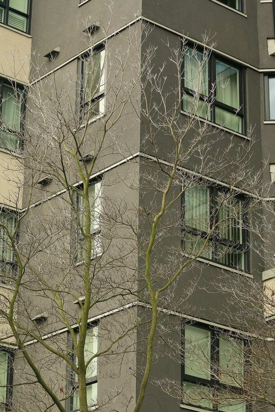 spring, vancouver, canada, built structure, architecture, building exterior HD wallpaper