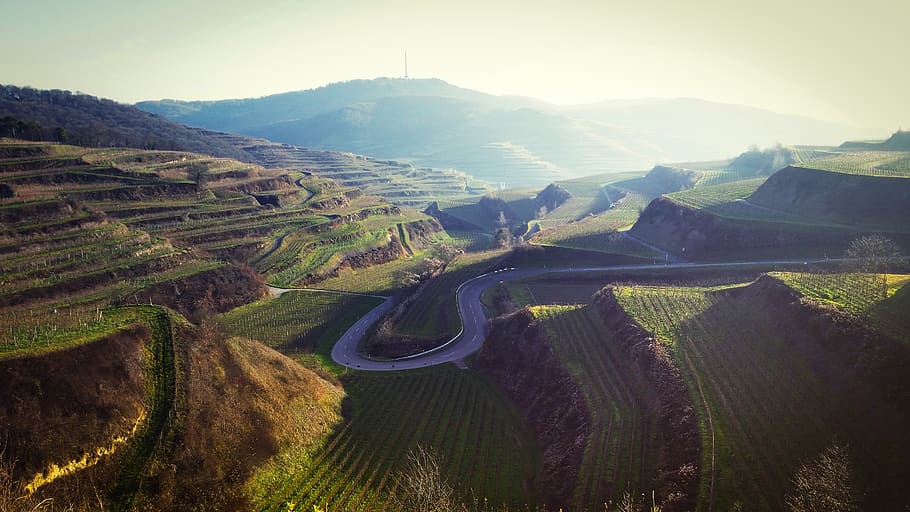 kaiserstuhl, vineyard, landscape, vineyards, germany, environment, HD wallpaper