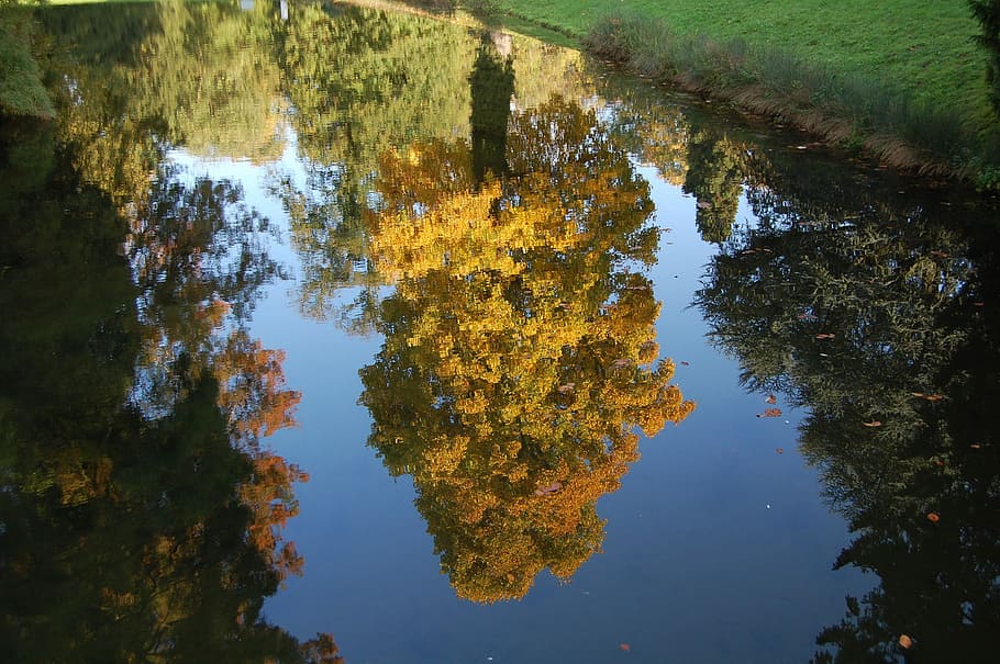 Tree, Castle, Park, Schlossgarten, Pond, sky, summer, castle park HD wallpaper