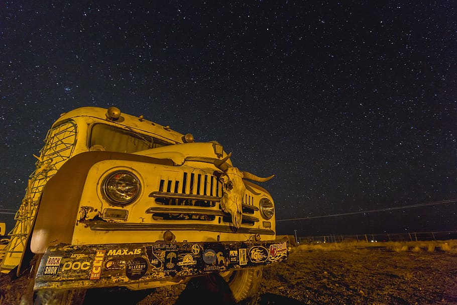photo of white and brown bus with stars during nighttime, white car with animal skull on bumper HD wallpaper