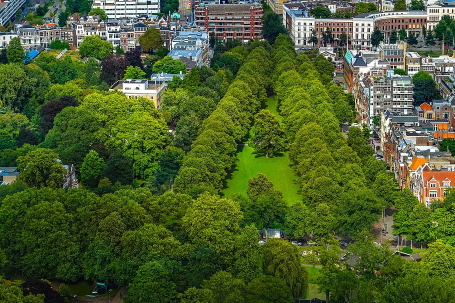 park, garden, city, tree, grass, cityscape, aerial view, rotterdam, HD wallpaper