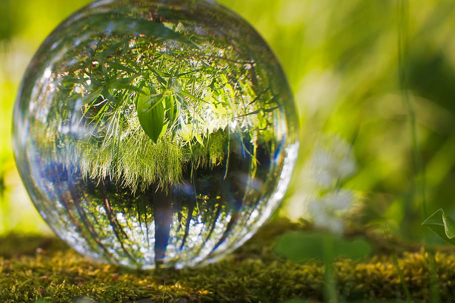 round water globe, ball, environment, grass, nature, spherical