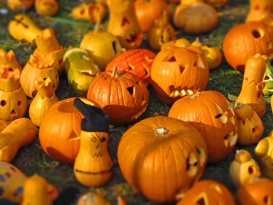 Jack O Lantern toy lot, pumpkin, yellow, o-lantern, halloween HD wallpaper