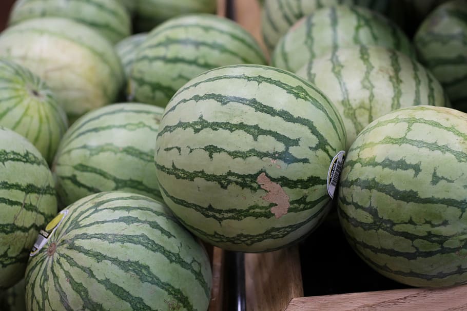 watermelon, fruit, food and drink, healthy eating, wellbeing HD wallpaper