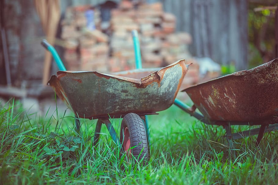 trolley, ancient, summer, sun, grass, plant, mode of transportation HD wallpaper