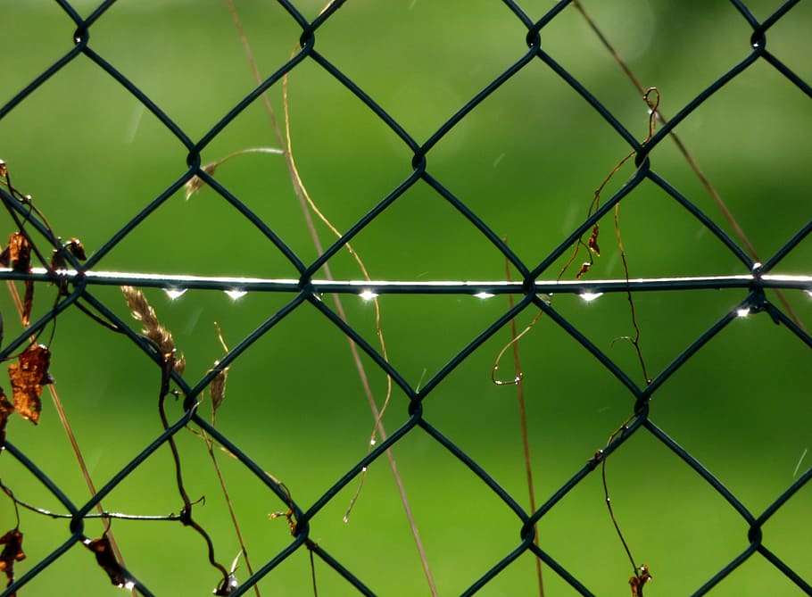 raindrops, water drops, mesh, lighting, fencing, safety, security HD wallpaper