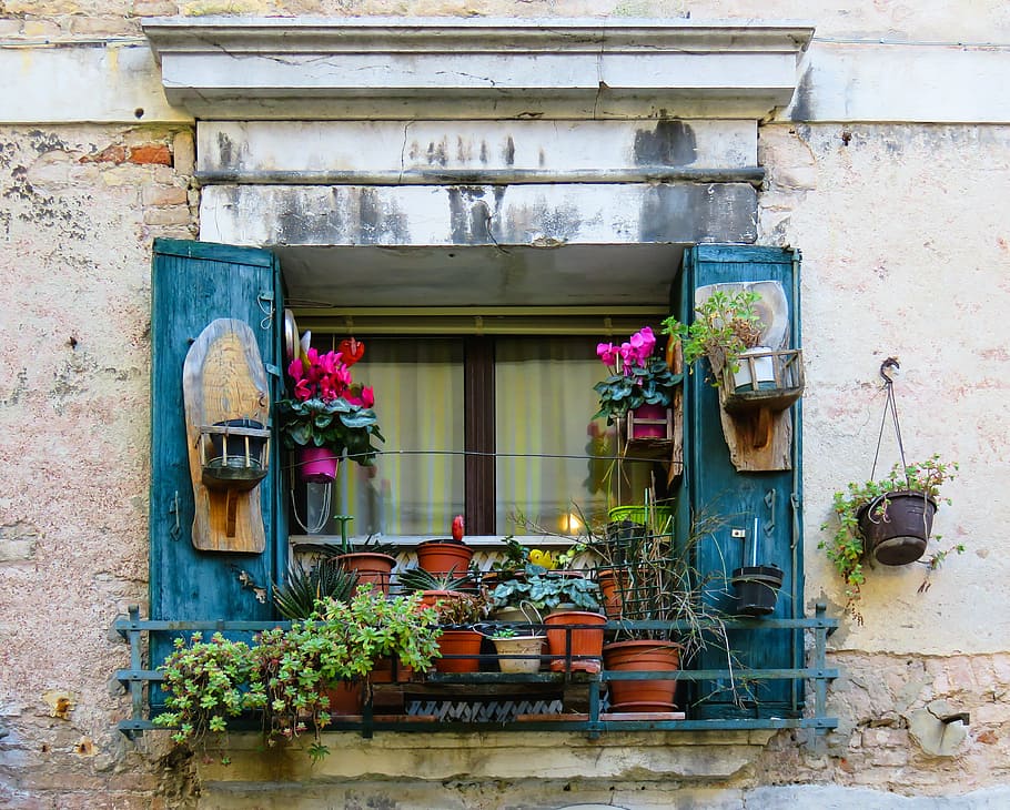 assorted plants on terrace, architecture, window, flowers, decoration HD wallpaper