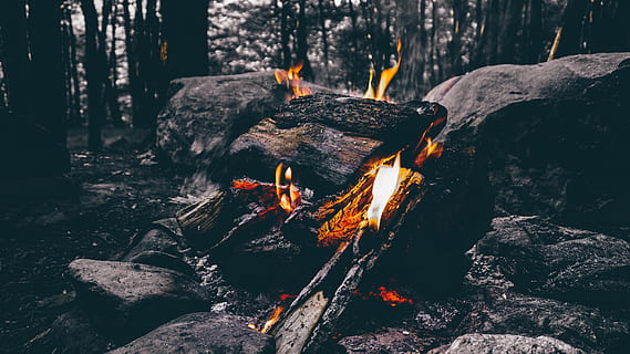 lit firewood near stones, ash, burning, campfire, flame, forest HD wallpaper